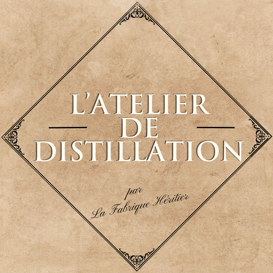 Atelier de Distillation